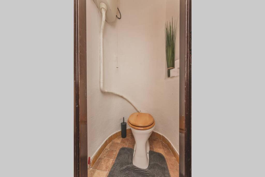 Carolina'S Central Apartment Hradec Kralove Ngoại thất bức ảnh